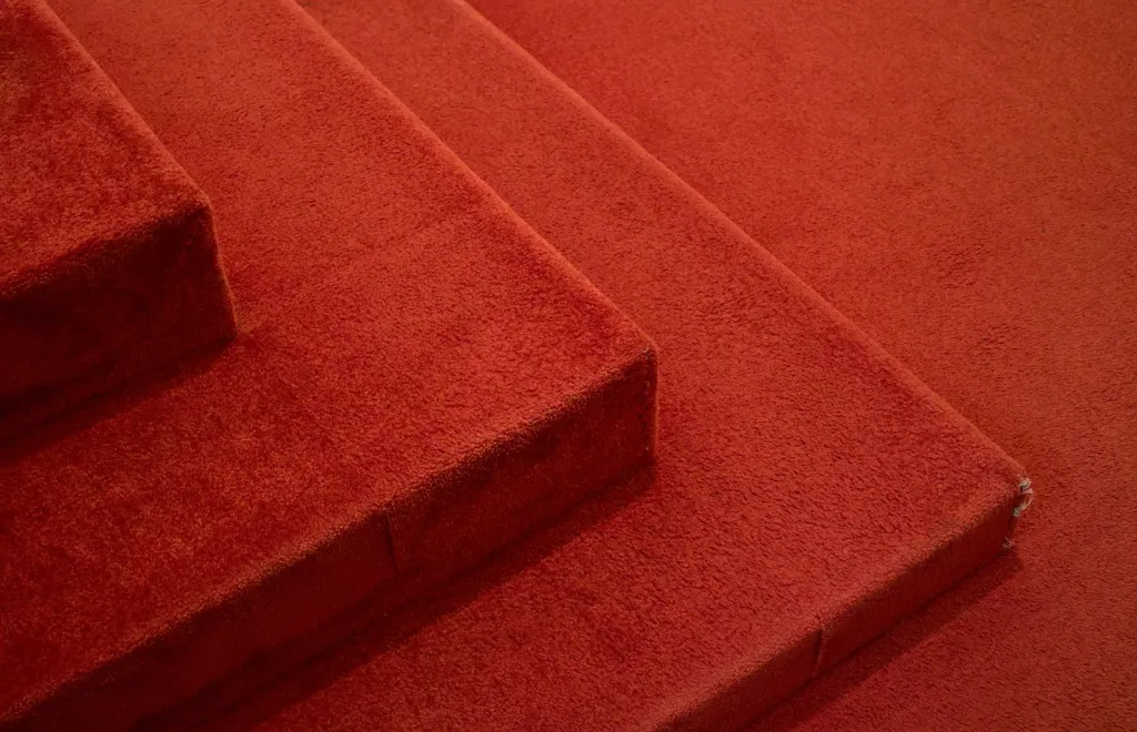 Thoughtful Carpet Care in Chicago